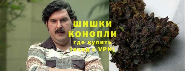 дмт Алзамай