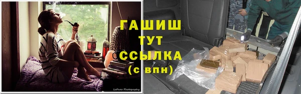 стаф Абаза