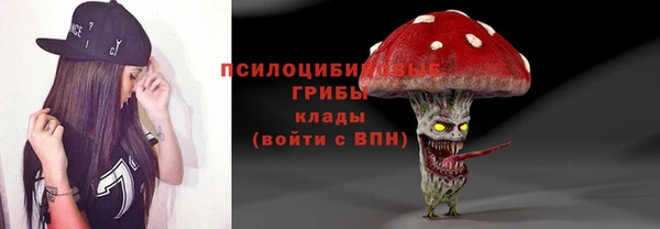 дмт Алзамай